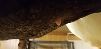 20180213_195508.jpg