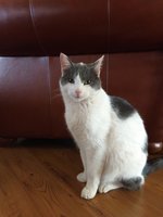 IMG_20180208_110543741.jpg