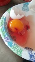 20180214_174256.jpg