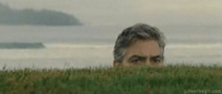 about-50-of-people-on-the-internet-are-stalkers-levindis-20662131.png