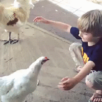 IMG_1766.GIF