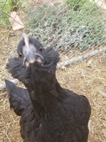 20180110_151002.jpg