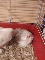 20180217_170007.jpg