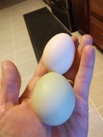 IMG_20180218_032138.jpg