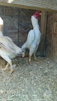 20180217_100722.jpg