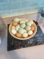 IMG_20180218_131445.jpg