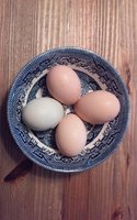 4eggs1day.jpg