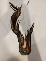 IMG_20180219_130822561.jpg