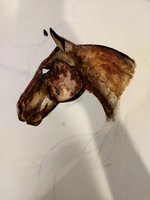 IMG_20180219_124402632.jpg