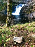 DEB50627-DF25-4D5C-AB77-367DE8F9C2AA.jpeg