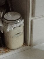 C371B73B-8AE1-4383-AE6C-C108B5D0EC6B.jpeg