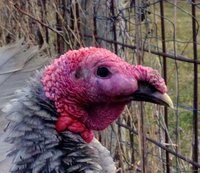 IMG_20180220_104803 (1).jpg