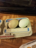 20180220_164856.jpg 20180220_164856.jpg