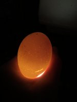 D09CC7DB-851D-4706-B698-BD55C14DC8D1.jpeg