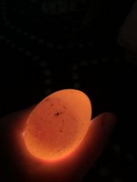 7A9CE173-C826-4662-A615-4F29A83E5B65.jpeg