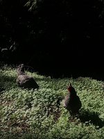IMG_20180216_123457488.jpg