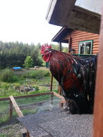 20170525_154034.jpg