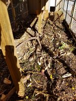 20171126_121131.jpg 20171126_121131.jpg