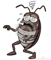 Zombie cockroach.jpg