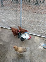 IMG_20180221_094053012.jpg