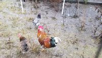20180215_163445.jpg
