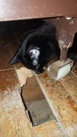 20180219_161225.jpg