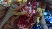 IMG_20180223_195754.jpg