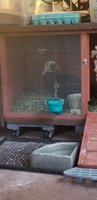 20180224_071627.jpg