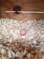 20180224_092814.jpg