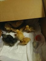 IMG_20180224_103940.jpg