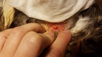 20180224_175415.jpg
