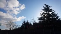DSC_0530.JPG