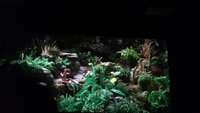 20180225_140228.jpg