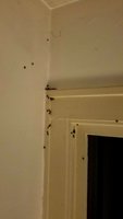 31C36774-1955-4D7B-A217-D30B375DC62F.jpeg