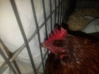 20180225_234450.jpg