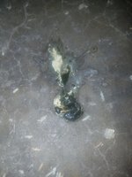 20180225_234558.jpg