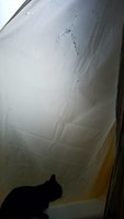 20180125_163943.jpg