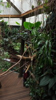 20180225_141928.jpg 20180225_141928.jpg