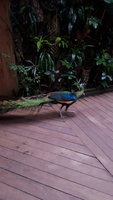 20180225_142627.jpg 20180225_142627.jpg