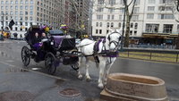 20180225_151901.jpg 20180225_151901.jpg