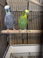 IMG_20180227_095222066.jpg