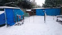 DSC_0588.JPG
