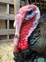 2018-02-28 07.28.00.jpeg