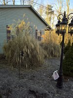 WP_20180227_08_17_16_Pro.jpg