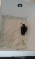 20180302_082728.jpg