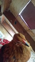20180302_110423.jpg