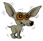 Scared Little Dog.gif