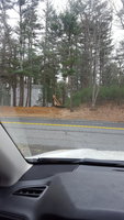 20180303_114011.jpg