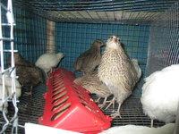 IMG_3184.JPG