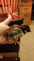 20180301_182248.jpg